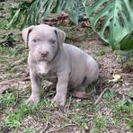 Mindy Herrera - Facebook