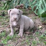 Mindy Herrera - @mindy.herrera.963 - Instagram