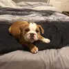 Mindyhope - @mindyhope - TikTok