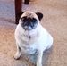 Mindy Howard - Facebook