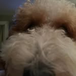 Mindy Raudabaugh Howard - @mindyhoward13 - Instagram