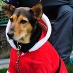 MindyHsiao - @mindyhsiao - Instagram