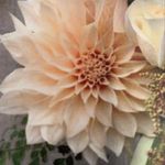 Mindy (Huff) Lee - @marialee333 - Instagram