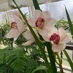 Mindy Hufford - @mindyhufford - Instagram