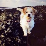 MINDY - HUGHES🌟🐶 - @_mindyhughes_ - Instagram