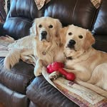 Mindy Hughes - @mindypeckhughes - Instagram