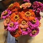 Mindy Hughes - Facebook