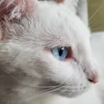 Mindy Markle Hughes - @mindyhughes270 - Instagram