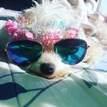 Mindy Hurtado - @mindyhurtado - Instagram