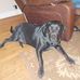 Mindy Jackson - Facebook