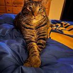 Mindy Phillips-Jeffries - @mindy.phillipsjeffries - Instagram