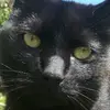 Mindy katz - @mindykatz79 - TikTok
