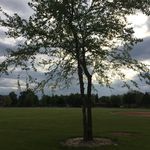 Mindy Katz - @katz_10_ - Instagram