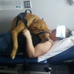 Mindy Kelly - @justacountrygirl3606 - Instagram