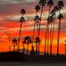 Mindy Kelly - Facebook