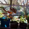 mindykelly14 - @mindykelly14 - TikTok