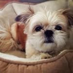 Mindy Kleinberg - @mindykleinberg - Instagram