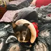 Mindy Kleinfelter291 - @mindykleinfelter - TikTok
