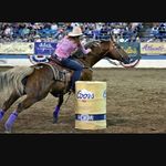 mindy koch - @horseshoe_mindy - Instagram