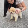 mindy lam - @shoppingluver818 - TikTok