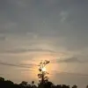 mindy - @mindy.liu4 - TikTok