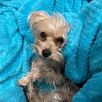 Luna Mindy del Pilar Torrejon - @luna.mindy.torrejon - Instagram