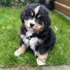 luna.mindy_ - @luna.mindy_ - TikTok