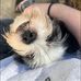 Melinda Lund - Facebook