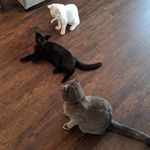 Morgan & Mindy MacDonald - @morgan.mindy.mac - Instagram