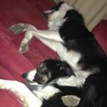 Mindy Mangan-Starr - @gonga1974 - Instagram