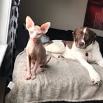Mindy&Mason - @dailynudz - Instagram