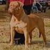 Mindy Maynard - Facebook