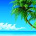 Mindy Moulton - Facebook