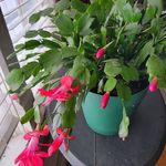 Mindy Newman - @mindy.newman.142 - Instagram