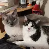 Mindy Ogden - @mindyo963 - TikTok