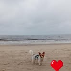 Mandy Peck - Facebook
