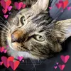 mindypeterson539 - @mindypeterson539 - TikTok