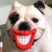 Mindy Molinaro Porter - Facebook