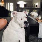 Mindy Powell Beccaccio - @mindypowellbeccaccio - Instagram