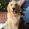 Mindy Reed - @mindy.reed69 - TikTok