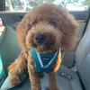 mindyrichharris - @mindyrichharris - TikTok