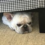 Mindy Rollins - @mindyrol - Instagram