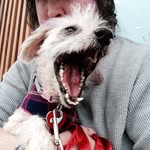 Mindy Schneider - @swonkmin - Instagram