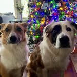 Mindy Schneider - @mschneider76 - Instagram