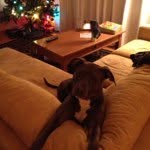 Mindy Shaffer - @mindels76 - Instagram