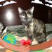 Mindy Shaffer - Facebook