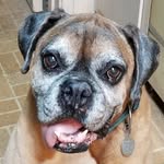Mindy Shaffer - @saxylady1 - Instagram