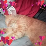 Mindy Simpson - Facebook