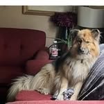 Mindy Simpson - @mindysimpson98 - Instagram