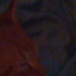 Mindy Simpson - @mindy.simpson.5855 - Instagram